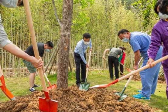 1605496126681231.png image.png