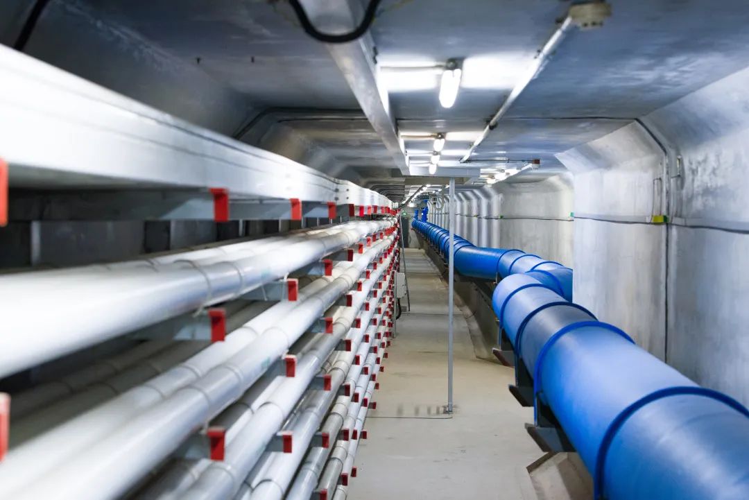 1649313073798846.jpg 1649313073798846.jpg