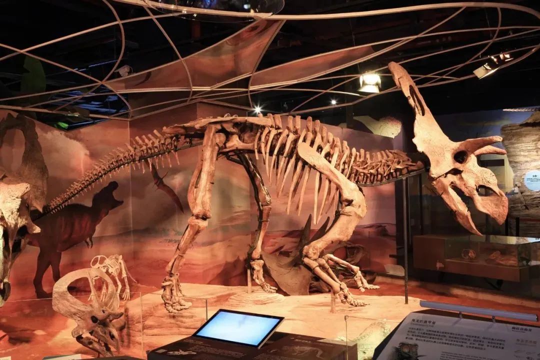 1652086148843411.jpg 1652086148843411.jpg