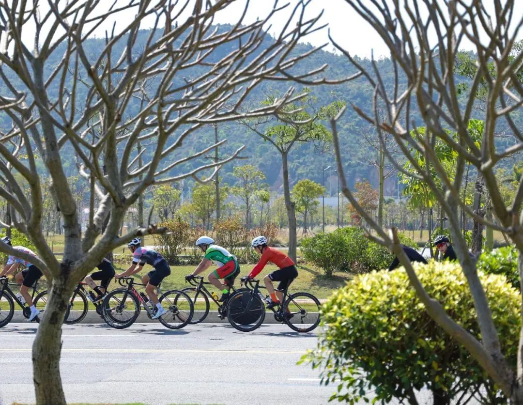 1652086244351706.jpg 1652086244351706.jpg