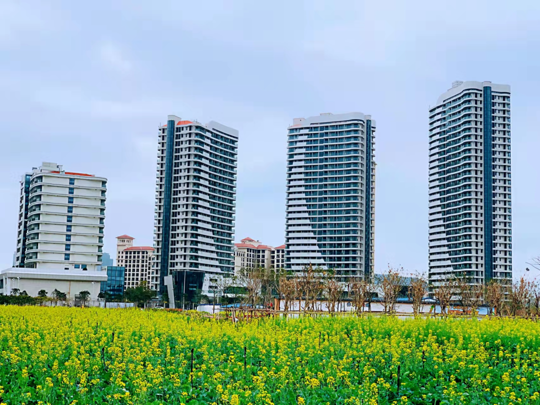 1652086281682416.png 1652086281682416.png