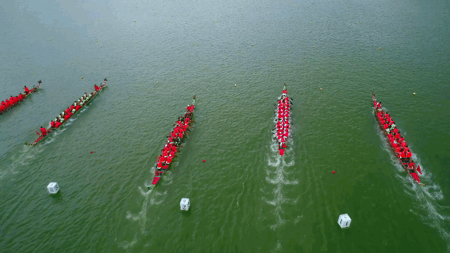 1715152360889454.gif 20.gif