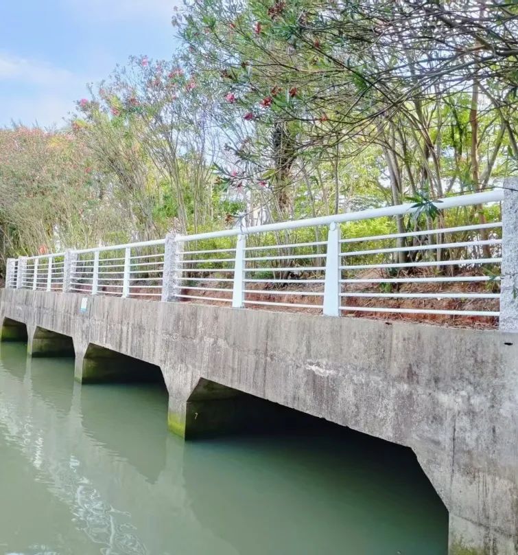 1757575465675511.jpg 8.jpg